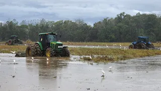 SABE DE ONDE VEM O ARROZ QUE CHEGA A SUA MESA ??