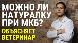 Мочекаменная болезнь у котов чем кормить? Польза натуралки. Отвечает ветеринар Дмитрий Русаков.