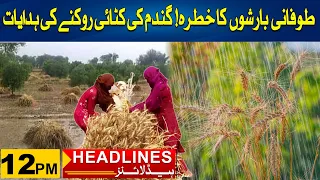 Important News For Farmers| 12pm News Headlines | 26 April 2024 | City 41
