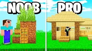 Casa de NOOB vs Casa de PRO !