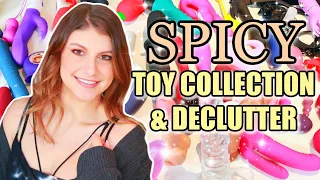ADULT TOY COLLECTION & MASSIVE DECLUTTER
