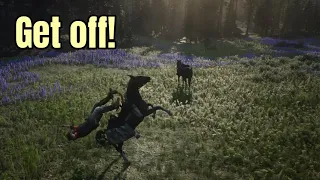 The Little Horse Who Did Not Want to Be Stolen : Red Dead Redemption 2