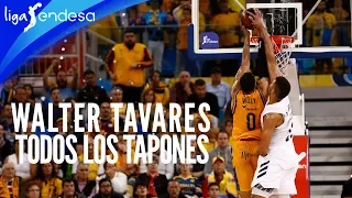 Todos los tapones de Tavares en la Liga Endesa 2018-19