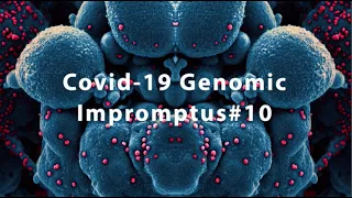 Covid-19  Genomic Impromptus#10