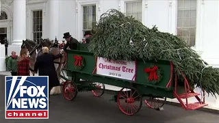 Trump, First Lady receive the White House Christmas Tree
