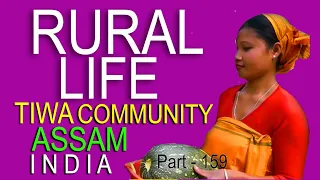 RURAL LIFE OF TIWA COMMUNITY IN ASSAM, INDIA , Part - 159 ...