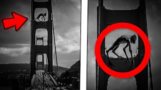 Top 15 Giant Creatures Caught on Camera - Part 3