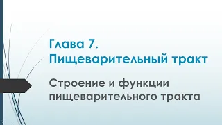 Физиология. Глава 7. Пищеварительный тракт. Строение и функции пищеварительного тракта