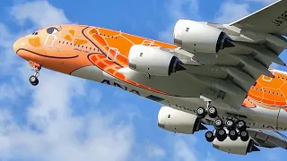 (4K) Incredible Plane spotting day at Hamburg Finkenwerder | A380, Beluga, A321N, etc.