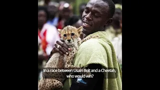 Usain Bolt vs Cheetah, Who Would Win?