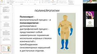 7. Периферическая нервная система / Peripheral nervous system