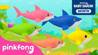 Baby Shark More and More + | Compilation | Best Baby Shark Songs for Kids | Pinkfong Official