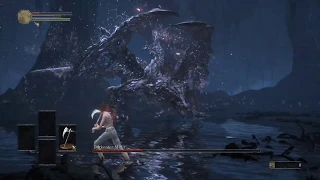 SL1 Darkeater Midir No Sprint/Roll/Block/Parry