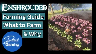 Enshrouded Farming Guide | What to Farm and Why | Enshrouded Tips