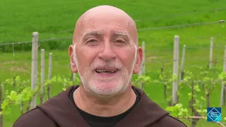 #AmiciDiGesù​​​​​​​​​ - “IO SONO LA VITE VERA” - PADRE ROBERTO BASILICO - RIFLESSIONE SPIRITUALE