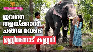 EP 61 | ഇവനെ തളയ്ക്കാൻ ചങ്ങല വേണ്ട, ഉണ്ണിമങ്ങാട്‌ കണ്ണൻ | Unnimangad Kannan | Aanakkaryam