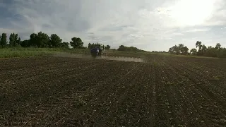 Обприскування соняшнику ЕС Саксон від компанії Еліта Селект гербіцид Альфа Стар в нормі 35 грам/га