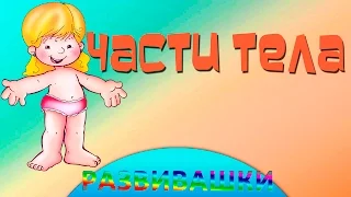 Английский для малышей /Части тела