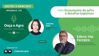 OUÇA O AGRO 120 - Escoamento da safra e desafios logísticos