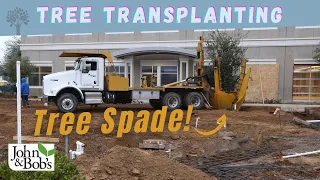 Tree Transplanting Machine | Moving and Transplanting Trees With a Tree Spade