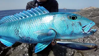 I Traveled halfway Around the World to Catch this Fish!