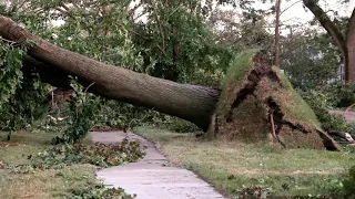 08-10-2020 Cedar Rapids, IA - Derecho Damage