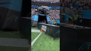 Cam Newton returns to Bank of America stadium ELECTRIC MOMENT!!!