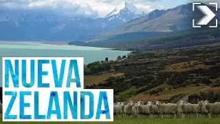 Españoles en el mundo: Nueva Zelanda (2/3) | RTVE