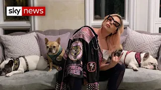 Lady Gaga offers $500,000 reward after dog-walker shot and pets stolen