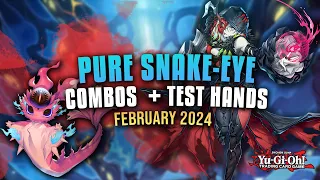 Yu-Gi-Oh! Pure Snake-Eye Combo + Test Hands! (February 2024)