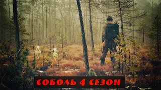 Соболь 4 сезон, 6 серия, Как соболь превратился в белку, Над нами смеется сам дух тайги!