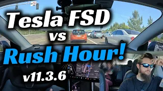 Tesla's FSD Beta Carries a Passenger Through Insane Traffic!  | RoboTaxi [11.3.6]