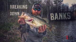 Tested Bank Fishing Tips for Catching Bass