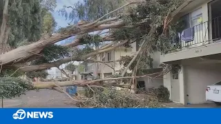 Ongoing power outages leave thousands in Bay Area longing for sense of 'normalcy' to return