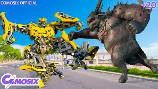 The Era of Destruction - Robot Wars | Bumblebee Fights Buffalo Como To Protect Real
