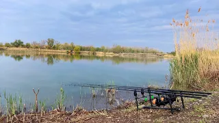 Такого клёва карпа в этом году ещё не было.