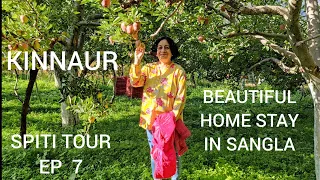 Apple Orchards of Kinnaur // Beautiful Homestay in Sangla // Sangla //Himachal Pradesh