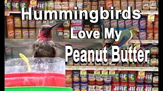 Hummingbird Feeder from Peanut Butter - DIY Set Up How to Make FREE with Jar-Attract Birds & Oriole