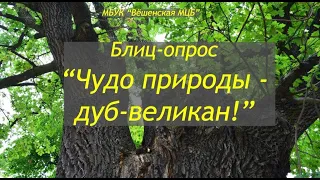 Блиц-опрос Вёшенский дуб