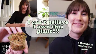 Plant mail unboxing: I ordered my top wishlist plant on Etsy!