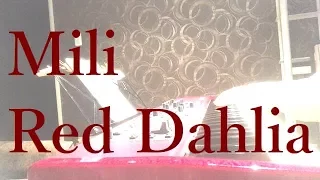 Mili - Red Dahlia / piano cover by narumi ピアノカバー