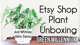 Whitney Gets Sassy Over a YouTube Comment | Plant Shopping Online | Etsy Shop Plant Unboxing