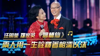 汪明荃 羅家英深情演唱《鵲橋仙》 歌聲百聽不厭 | 紀錄台灣