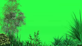 green screen trees blowing in the wind