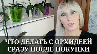 ЧТО ДЕЛАТЬ С ОРХИДЕЕЙ СРАЗУ ПОСЛЕ ПОКУПКИ В МАГАЗИНЕ / Купили, подарили орхидею, что с ней делать?