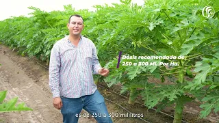 Stone 200 FMC - PROVEEDORA AGRÍCOLA TECOMÁN