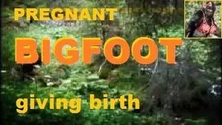 Pregnant BIGFOOT giving BIRTH in the Woods - AMAZING REAL FOOTAGE