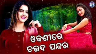 Odhani Re Hajigala | ଓଢ଼ଣୀରେ ହଜିଗଲା ଚଉଦ ପନ୍ଦର | ସଂଗୀତା ମିଶ୍ରଙ୍କ କଣ୍ଠରେ ସୁନ୍ଦର ଓଡ଼ିଆ ଆଧୁନିକ ଗୀତ