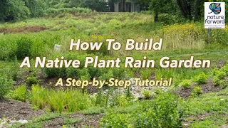 How to Build a Native Plant Rain Garden - A Step-by-Step Tutorial