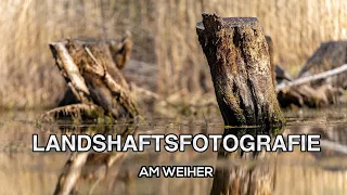 Landschaftsfotografie am Weiher